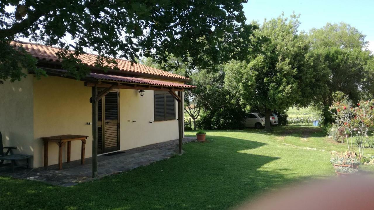 Agriturismo Cavallin Del Papa Capalbio Exteriör bild