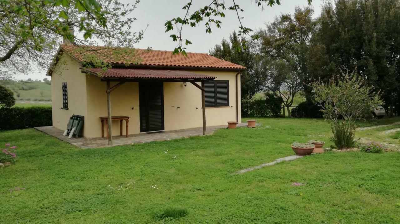 Agriturismo Cavallin Del Papa Capalbio Exteriör bild