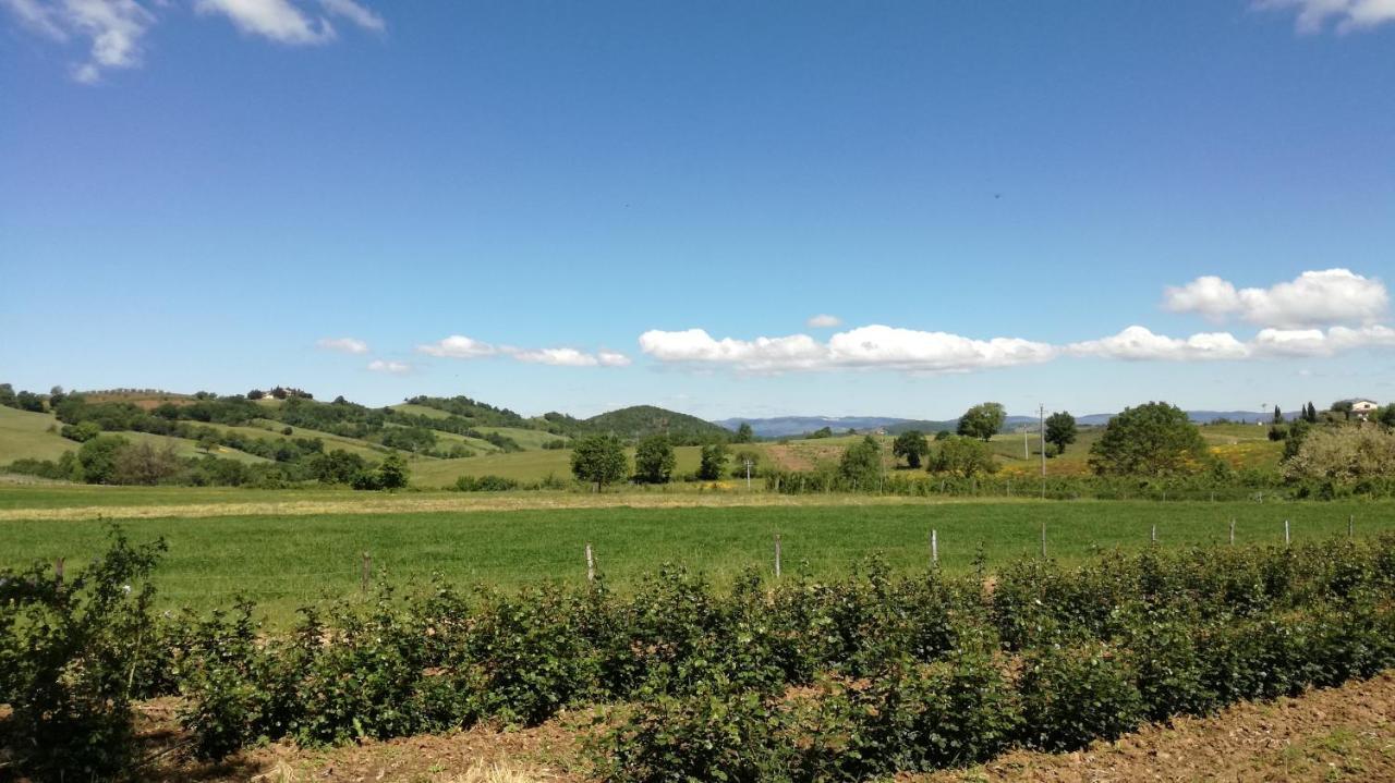 Agriturismo Cavallin Del Papa Capalbio Exteriör bild